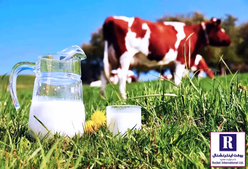 افزایش کیفیت بهداشتی شیر